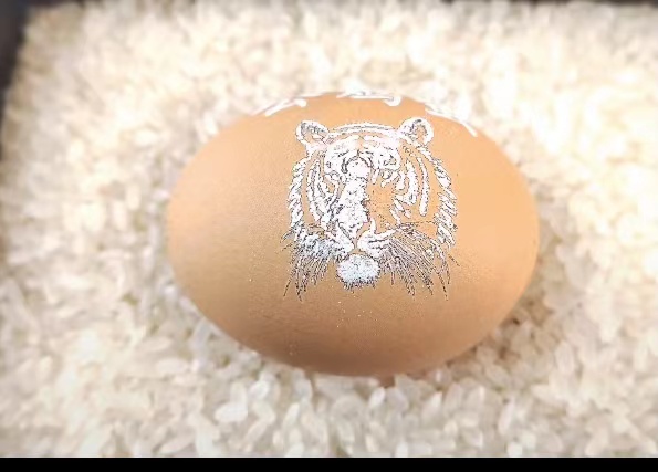 紫外线激光打标机在鸡蛋壳雕刻的应用  第2张